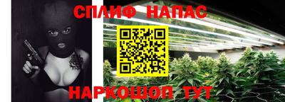 Альфа ПВП Обь