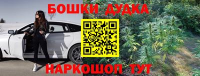 Альфа ПВП Обь