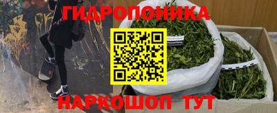 Альфа ПВП Обь