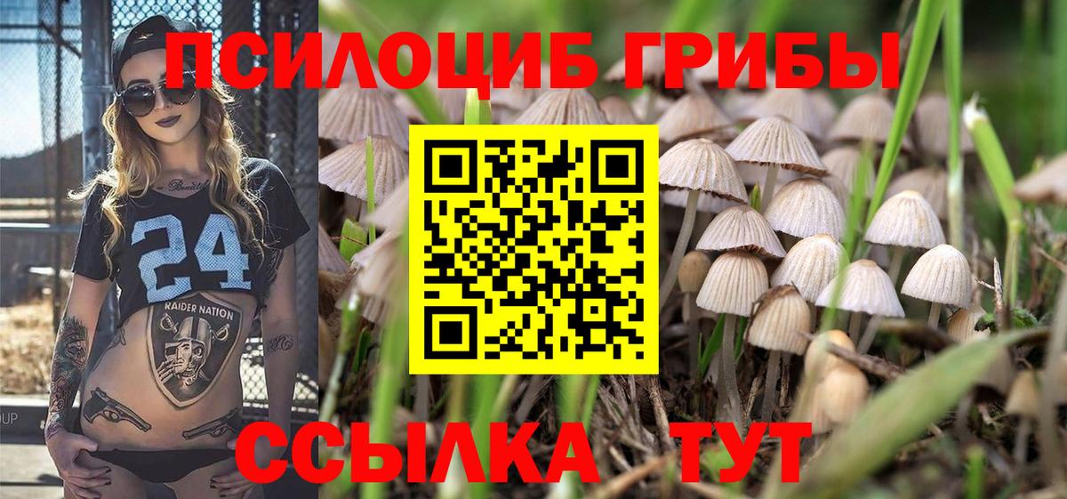 Семилуки  Псилоцибиновые грибы мухоморы  Вход с VPN 