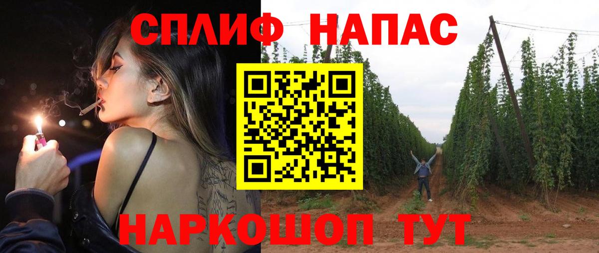 Шишки марихуана планчик  Шишки марихуана семена  Бошки марихуана сатива  Семилуки  Вход с VPN 